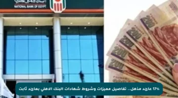 17% عائد مذهل.. تفاصيل مميزات وشروط شهادات البنك الأهلي بعائد ثابت